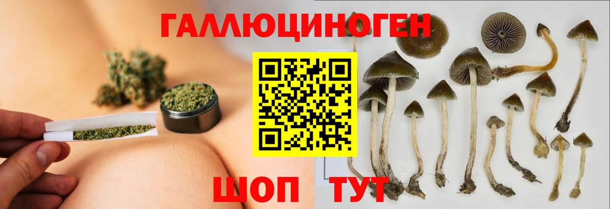 Псилоцибиновые грибы ЛСД Городец
